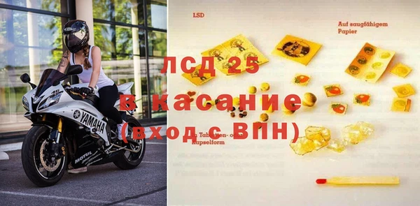 индика Богородицк
