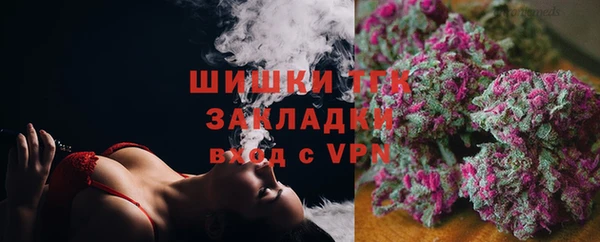 стафф Богородск